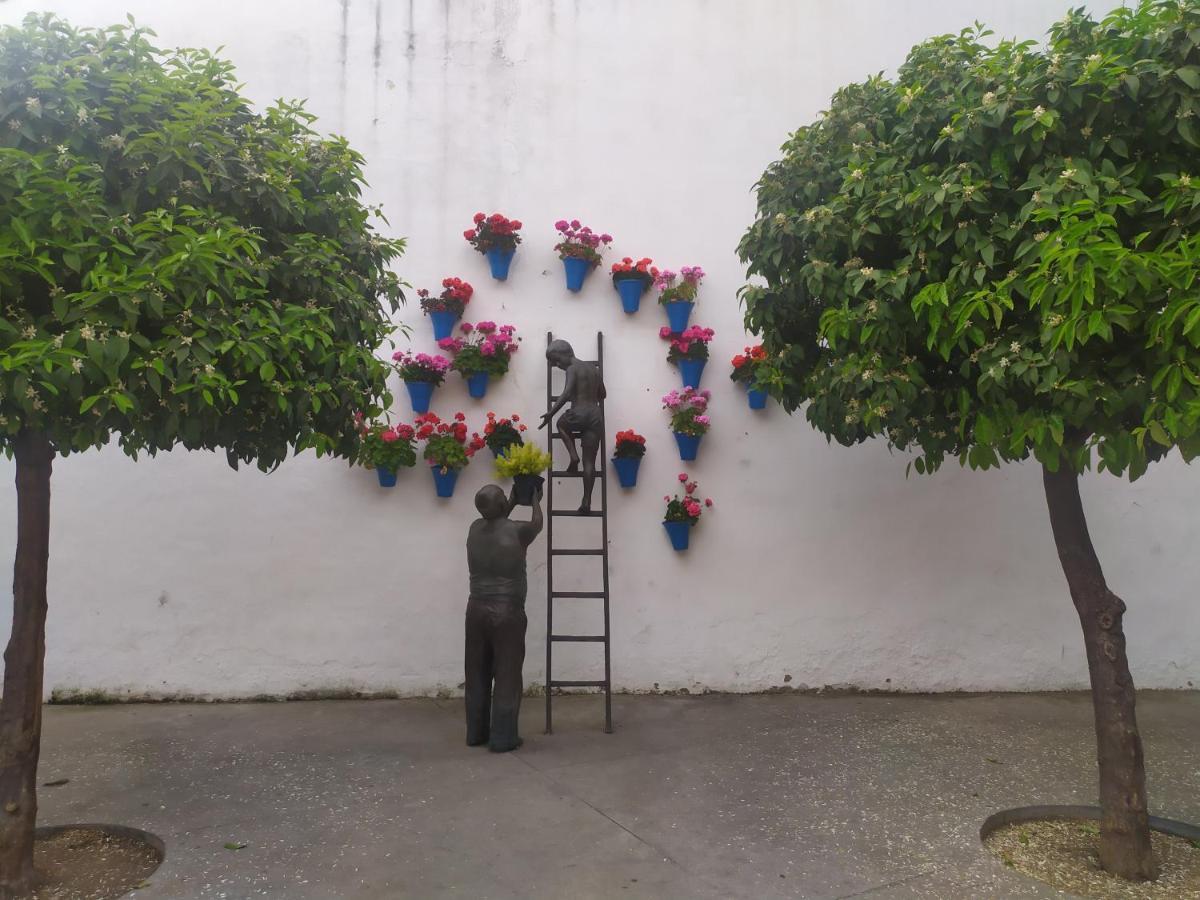 Patios De * Cordoba